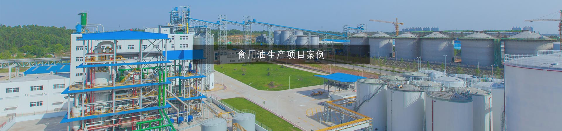 食用油生产项目案例