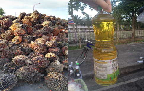 棕榈油消费状况