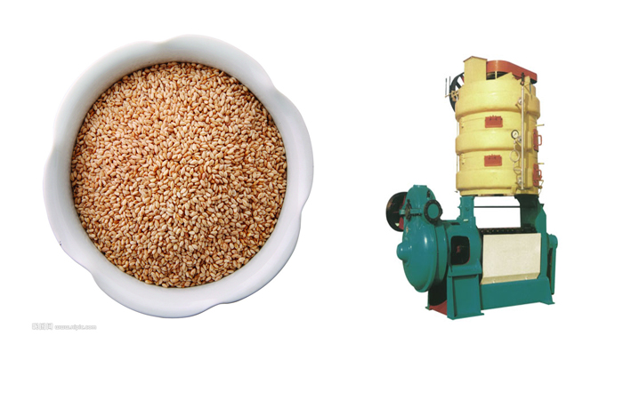 芝麻油产品分类