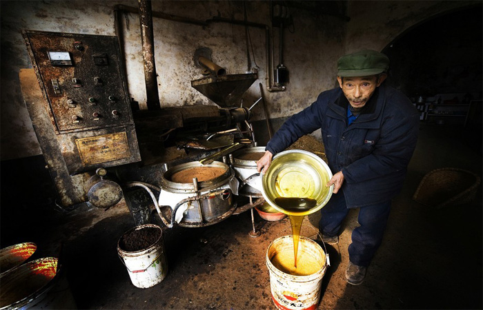 榨油坊榨油的传统工艺流程是什么样的？