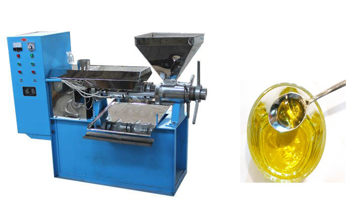小型榨油机设备的使用与常见故障的排除