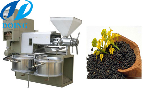 小型全自动榨油机榨油过程中出油率不稳定的现象有哪些？