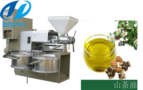 茶籽油榨油机