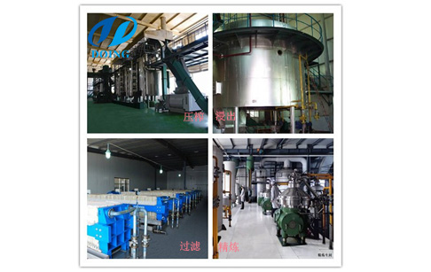 花生油加工设备