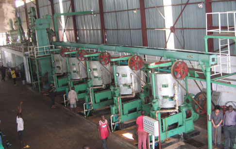 30吨/天棕榈油生产线在刚果成功安装