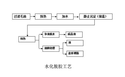 毛油精炼脱胶工艺