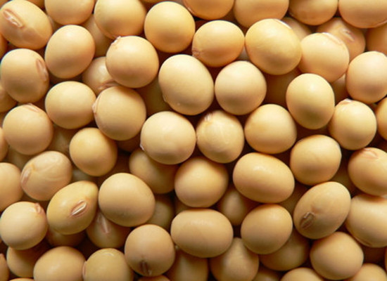 全国大豆产区分布情况