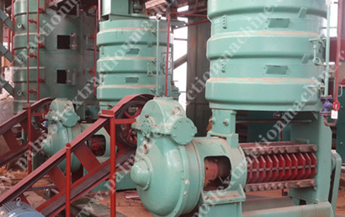 尼日利亚60吨/天棕榈仁和大豆生产项目将要竣工