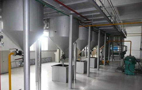 专家呼吁重视支持稻米油加工产业发展提高我国食用油自给率