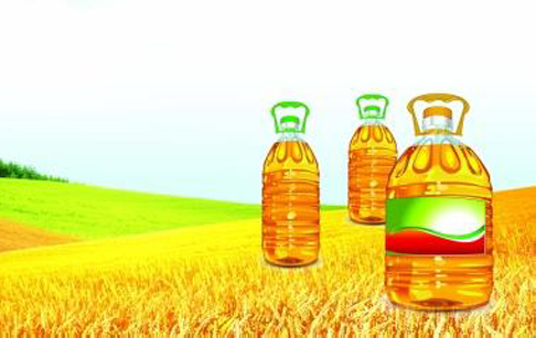 怎样选择食用油？