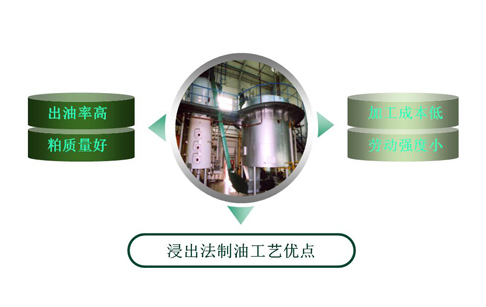 浸出法制油工艺
