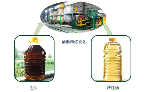 植物油精炼设备
