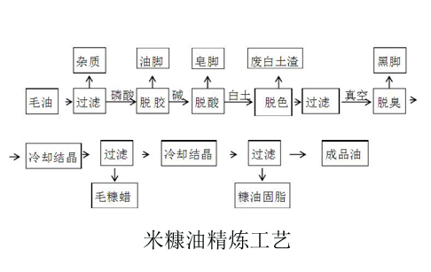 米糠油精炼工艺