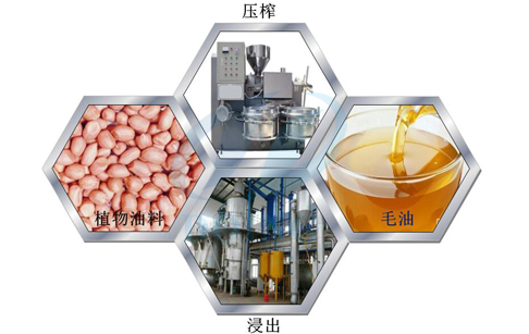 食用植物油市场及加工行业基本情况