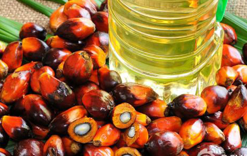 棕榈油分提设备