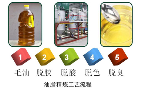 毛油精炼设备
