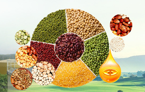 我国食用植物油消费量持续增长 需求多样化