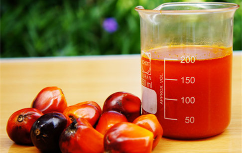 造成油脂酸败的原因是什么？