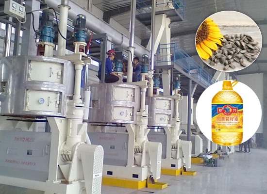 葵花籽油生产设备