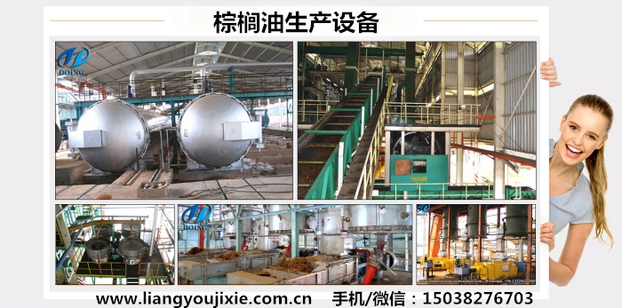 棕榈油生产设备