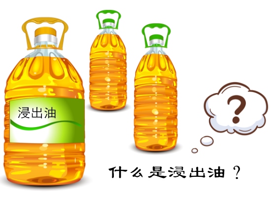 什么是浸出油？