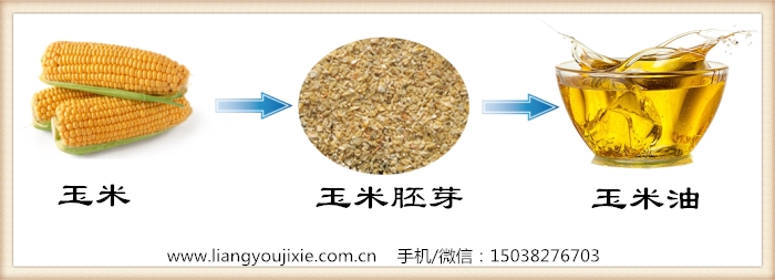 玉米油生产工艺流程