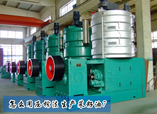 怎么用压榨法生产菜籽油？