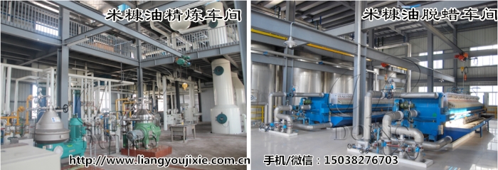 米糠油精炼脱蜡车间