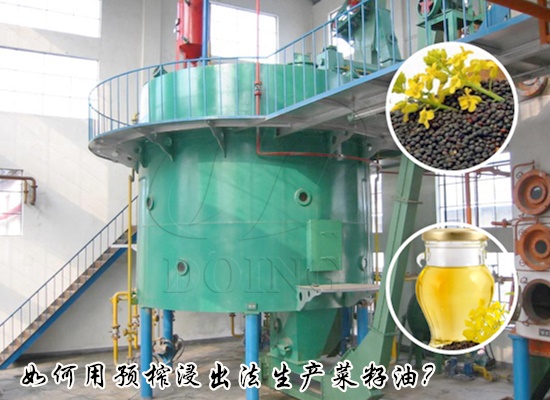 如何用预榨浸出法生产菜籽油？