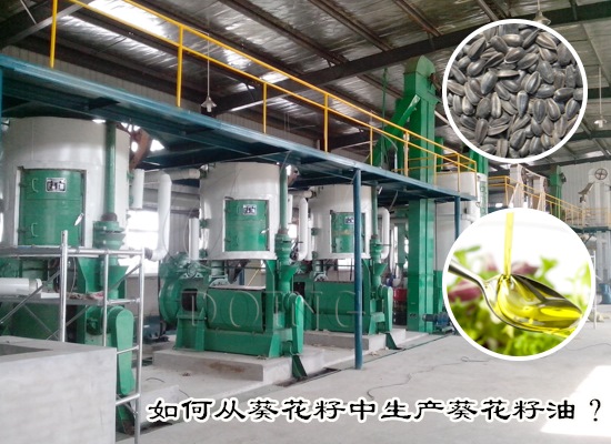 如何从葵花籽中生产葵花籽油？葵花籽油的生产方式有哪些？