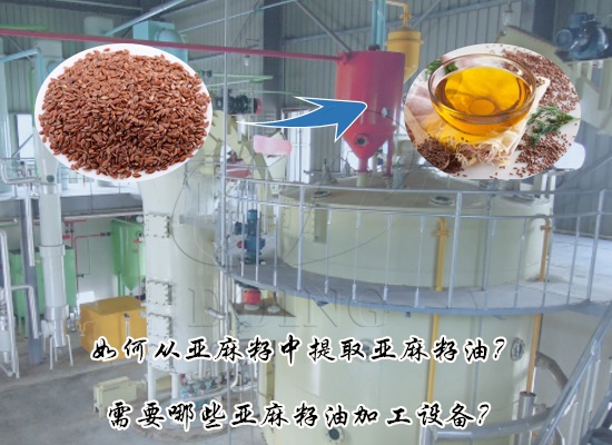 如何从亚麻籽中提取亚麻籽油？需要哪些亚麻籽油加工设备？