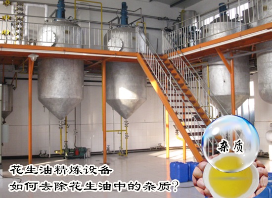 花生油精炼设备如何去除花生油中的杂质?