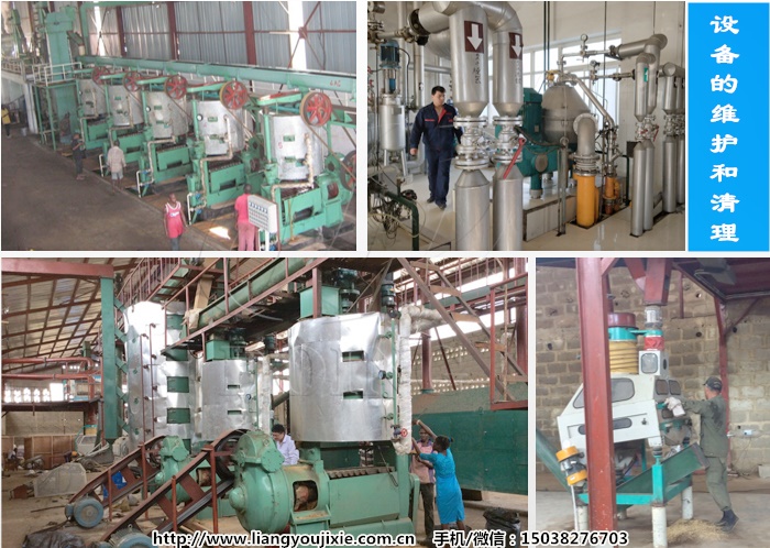 花生油加工设备