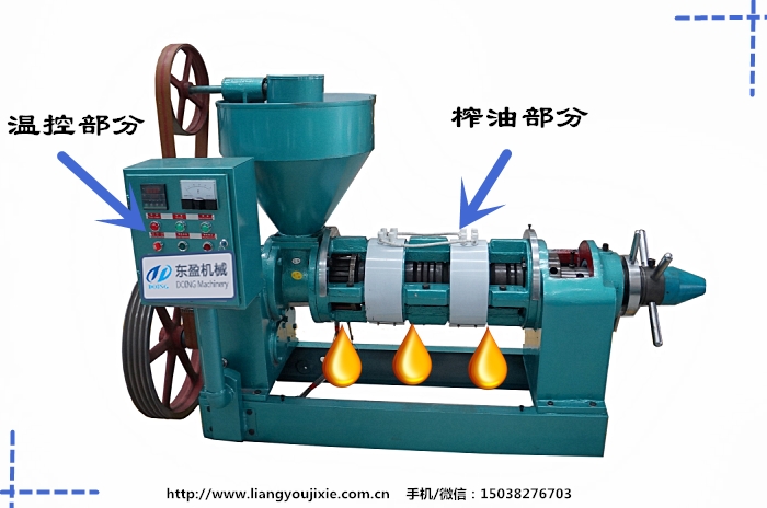 榨油机