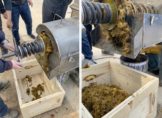 尼日利亚客户购买的小型棕榈果榨油机成功试机运行!