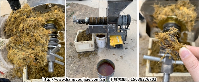 小型棕榈果榨油机