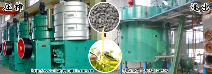 葵花籽油生产
