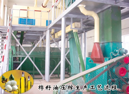 棉籽油压榨生产工艺流程是什么？需要哪些棉籽油加工设备？