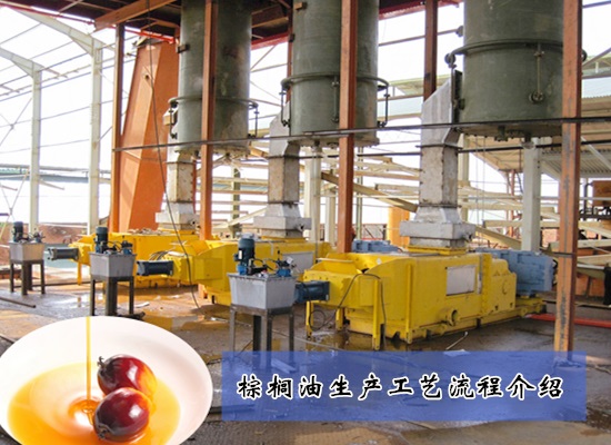 棕榈油生产工艺流程介绍