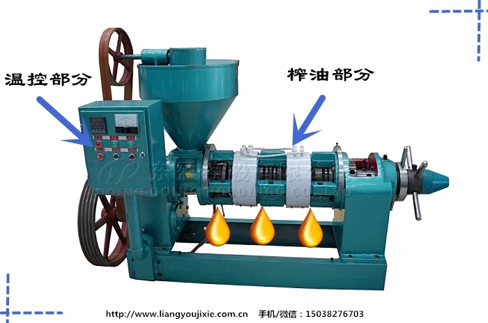 花生榨油机