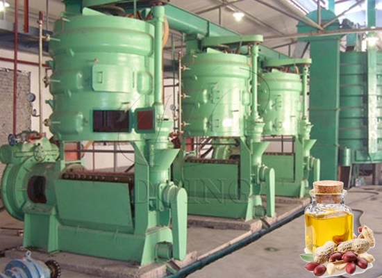 国内花生榨油生意常遇见的问题有哪些？需要怎么解决？