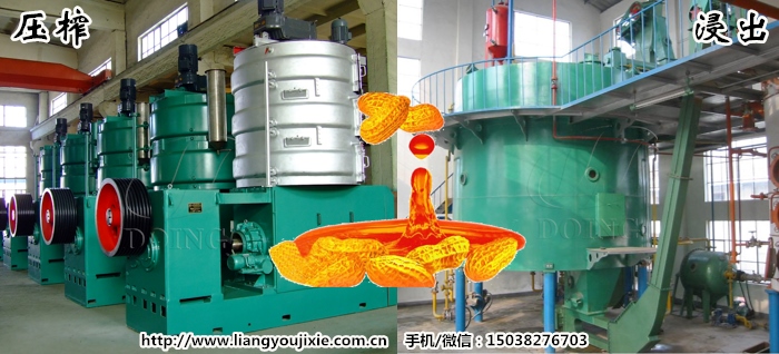 花生油生产工艺