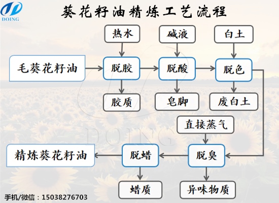 怎么精炼葵花籽油？葵花籽油精炼工艺流程是什么？
