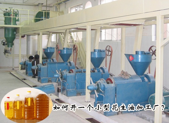 如何开一个小型花生油加工厂？需要注意哪些事项？