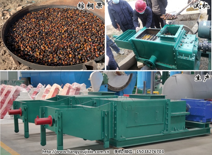 棕榈油榨油机