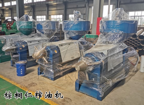 500千克/小时棕榈仁榨油机