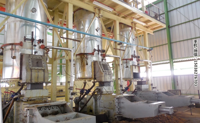 棕榈油压榨设备