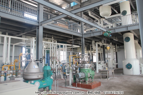 棕榈仁油精炼设备