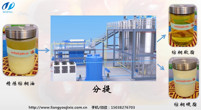 棕榈油分提设备