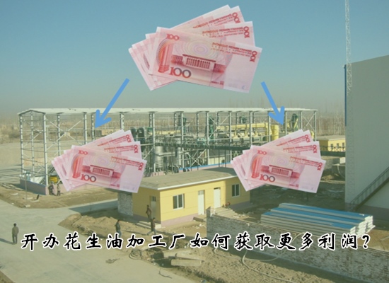 投资开办花生油加工厂如何获取更多利润？具体措施有哪些？